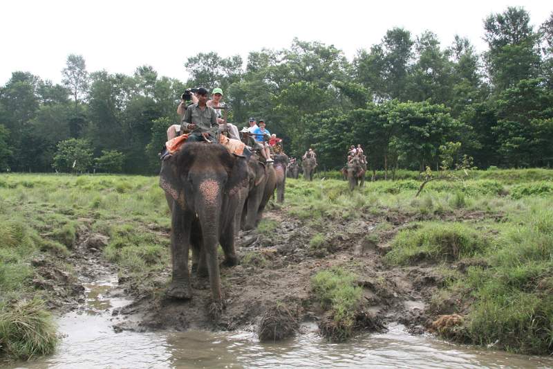 India & Nepal 2011 - 0551